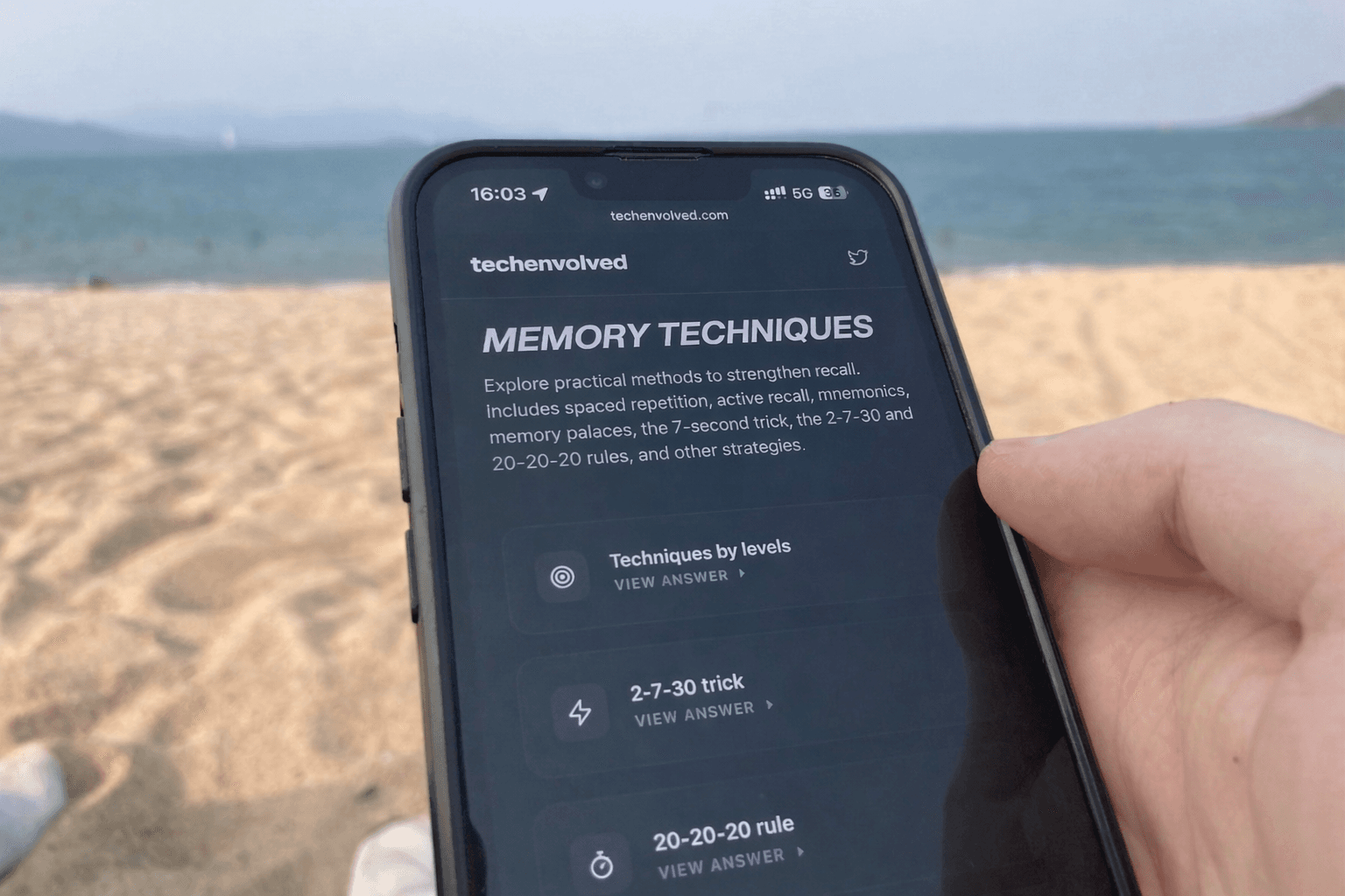 Memory Improvement FAQ Hub